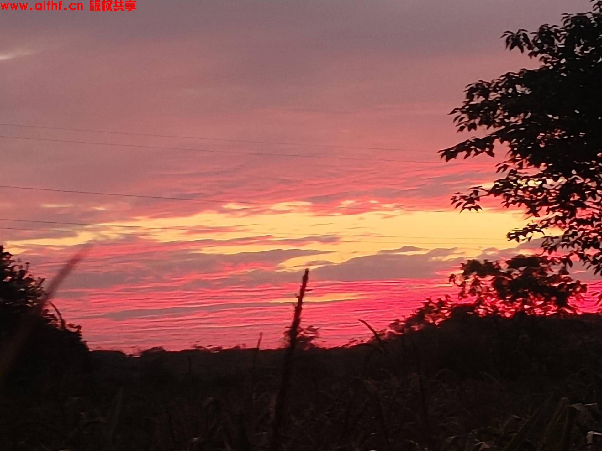 花呡:我的朝霞火烧云(AIFHF优秀图片)