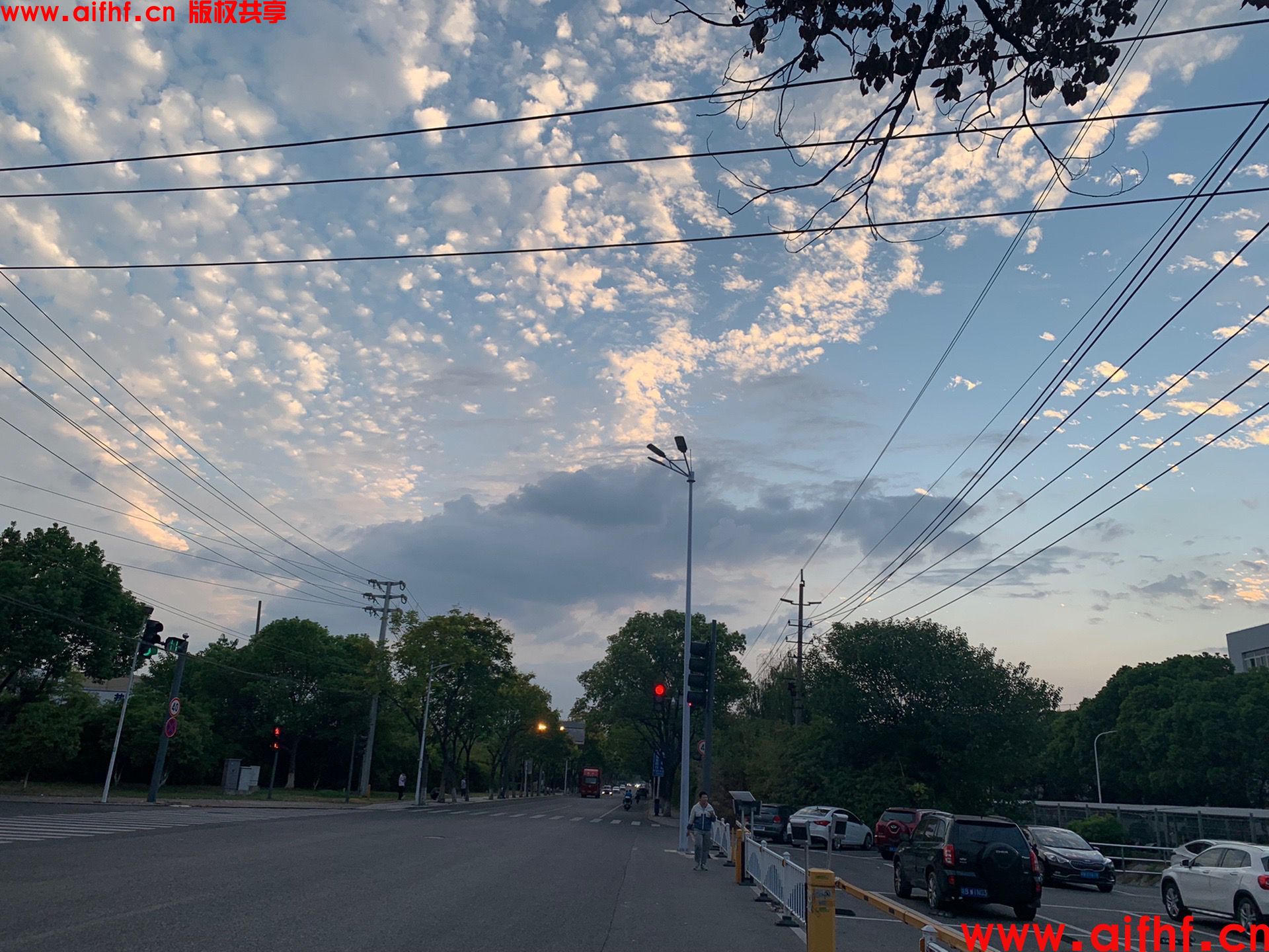 徐先森 ：万云奔腾